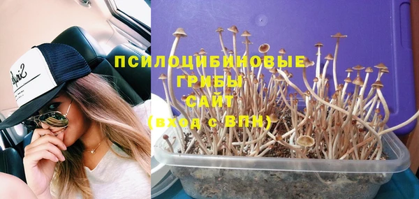 ешки Алзамай