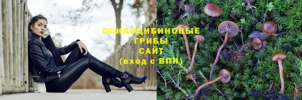 ешки Алзамай