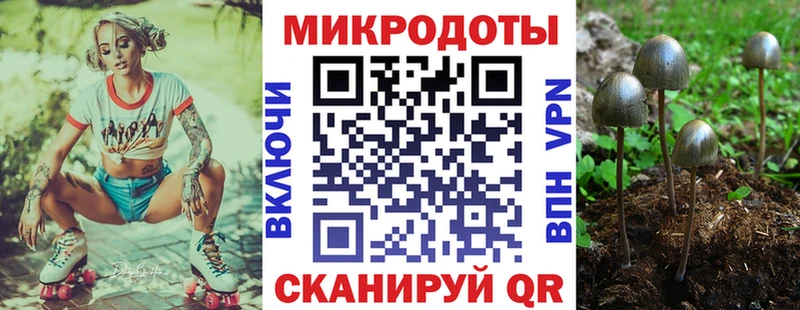 МЕГА зеркало  как найти   Тула  Псилоцибиновые грибы ЛСД 